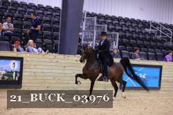 21_BUCK_03976 proof