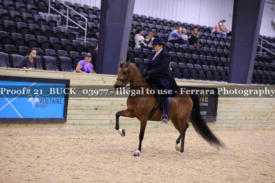 Proof 21_BUCK_03977