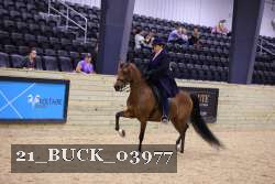 21_BUCK_03977 proof
