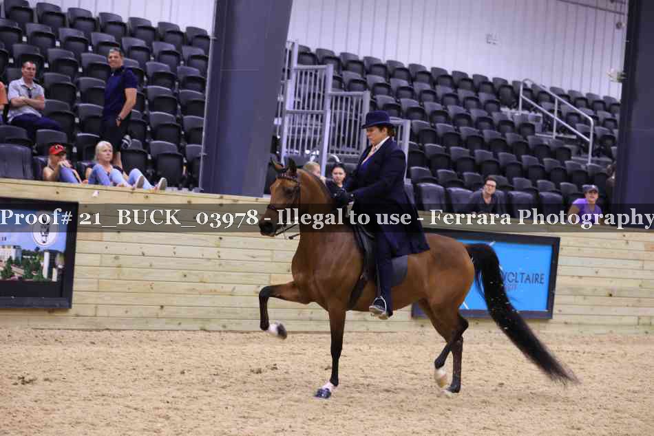 Proof 21_BUCK_03978