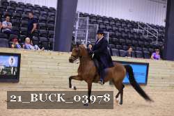 21_BUCK_03978 proof