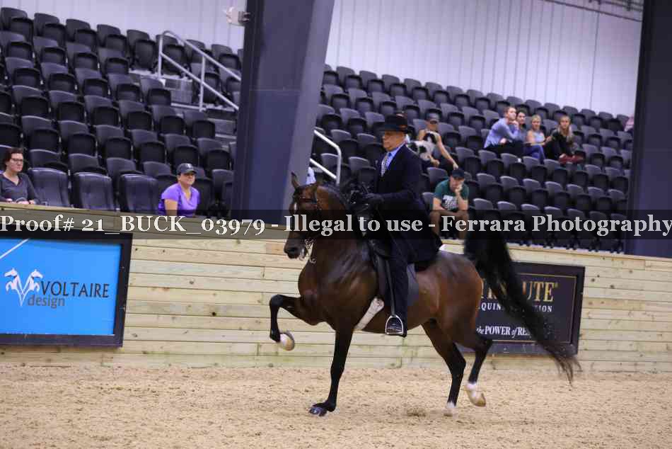 Proof 21_BUCK_03979