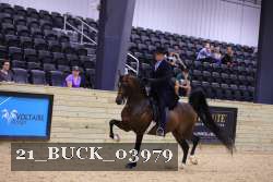 21_BUCK_03979 proof