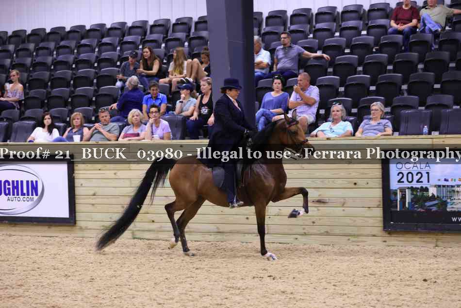 Proof 21_BUCK_03980