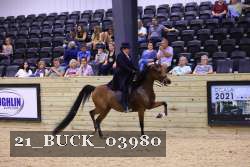 21_BUCK_03980 proof