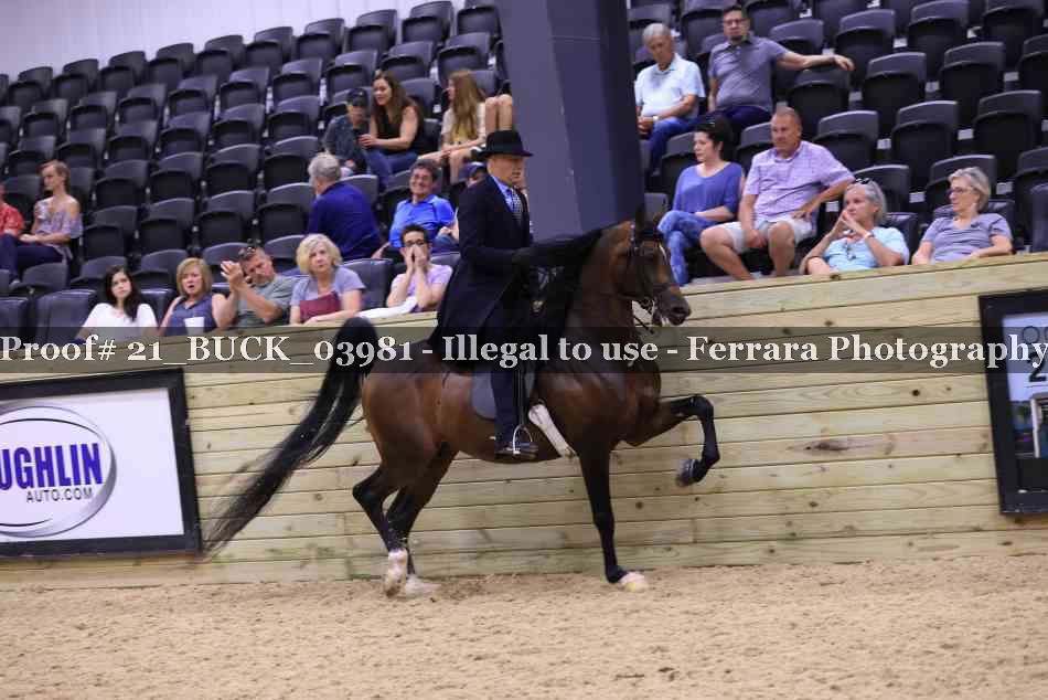 Proof 21_BUCK_03981