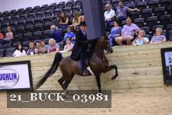 21_BUCK_03981 proof