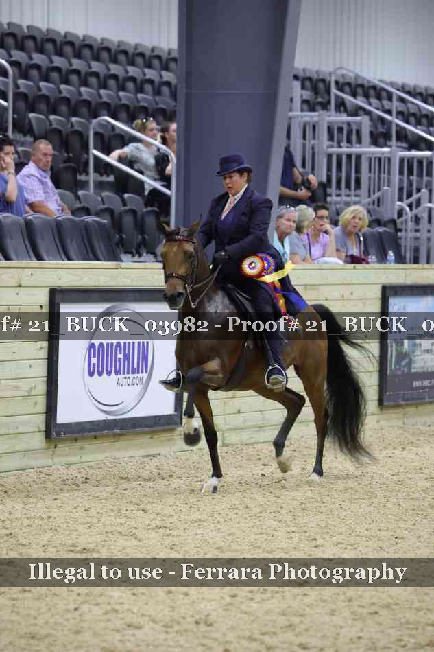 Proof 21_BUCK_03982