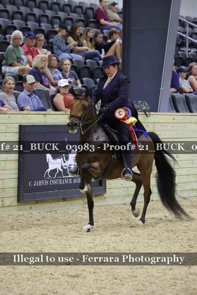 Proof 21_BUCK_03983