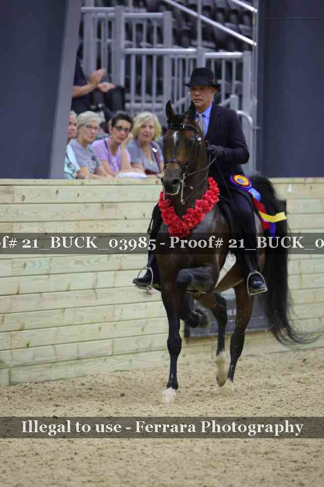 Proof 21_BUCK_03985