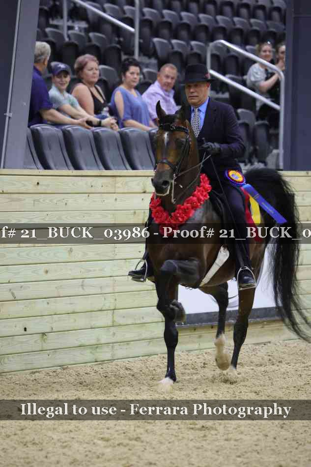Proof 21_BUCK_03986