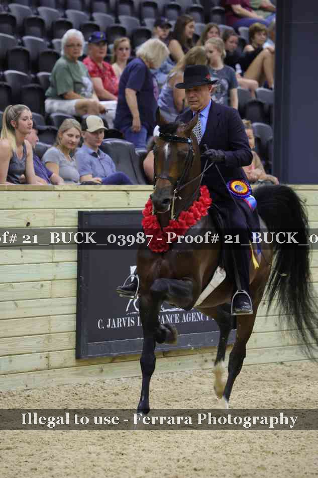 Proof 21_BUCK_03987