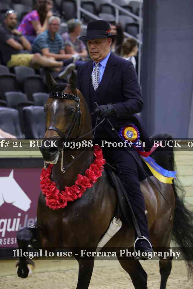 Proof 21_BUCK_03988