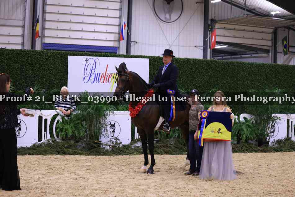 Proof 21_BUCK_03990