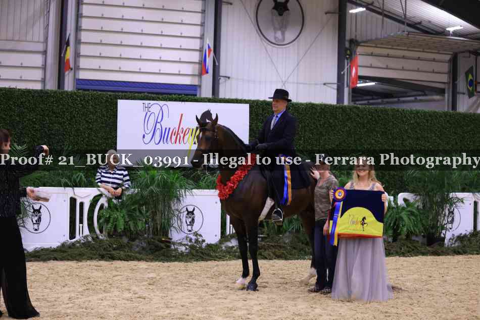 Proof 21_BUCK_03991