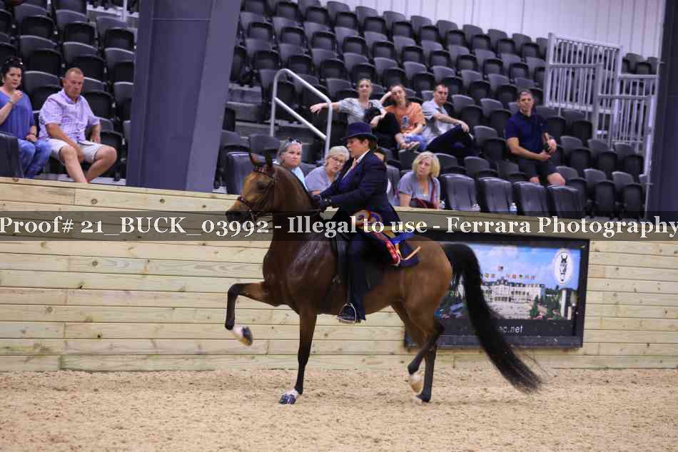 Proof 21_BUCK_03992