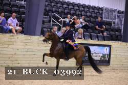21_BUCK_03992 proof