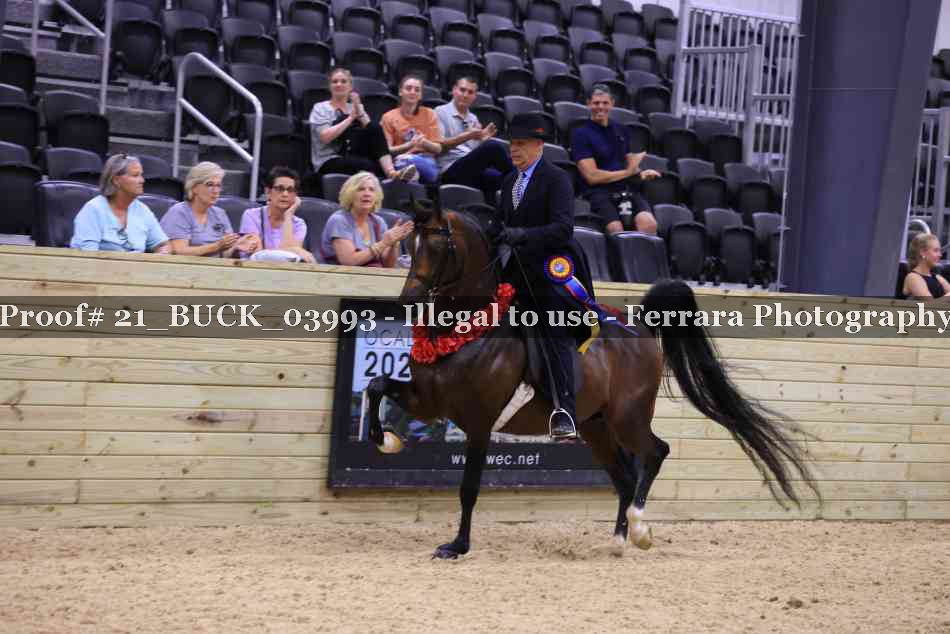 Proof 21_BUCK_03993