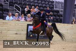21_BUCK_03993 proof