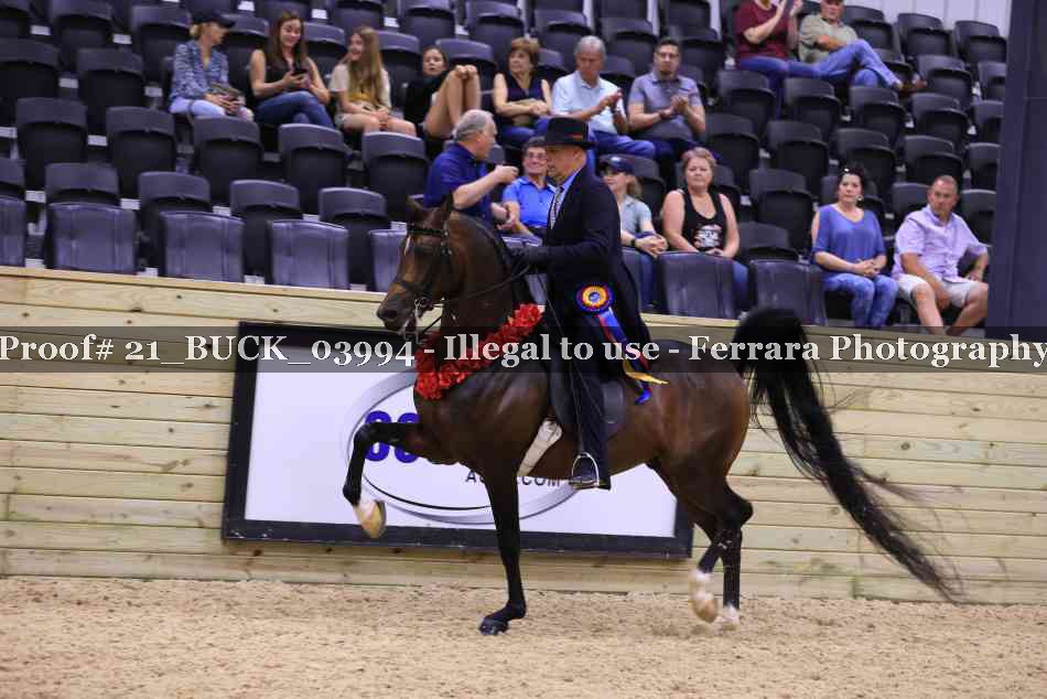 Proof 21_BUCK_03994