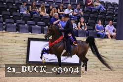 21_BUCK_03994 proof