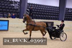21_BUCK_03997 proof