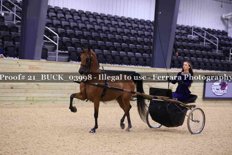 Proof 21_BUCK_03998