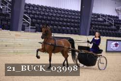 21_BUCK_03998 proof