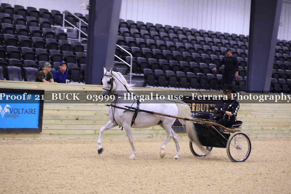 Proof 21_BUCK_03999