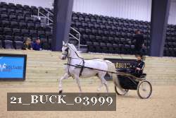 21_BUCK_03999 proof