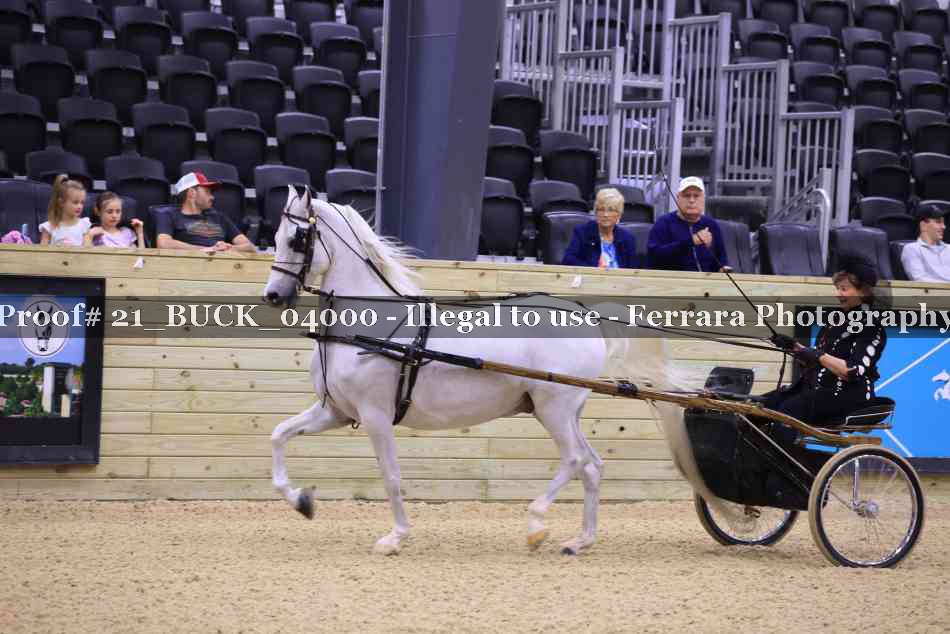Proof 21_BUCK_04000