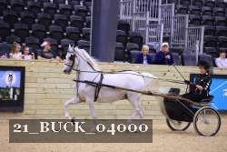 21_BUCK_04000 proof