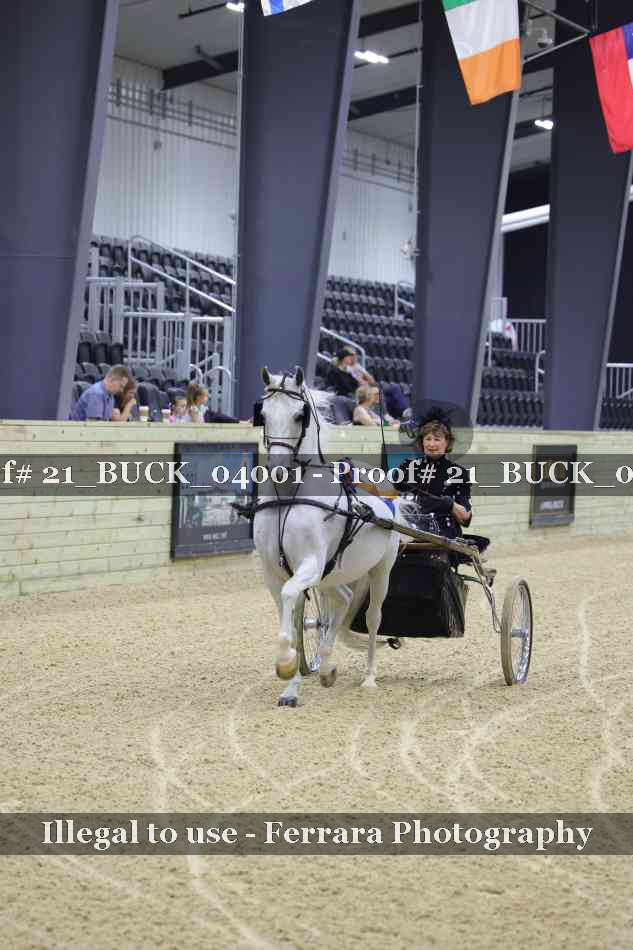 Proof 21_BUCK_04001