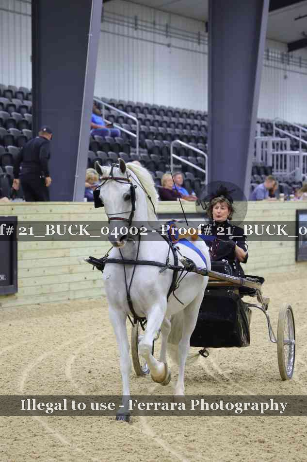 Proof 21_BUCK_04002