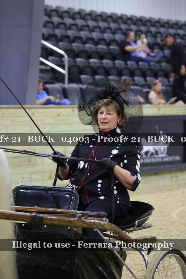 Proof 21_BUCK_04003