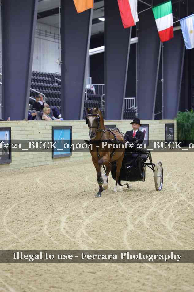 Proof 21_BUCK_04004