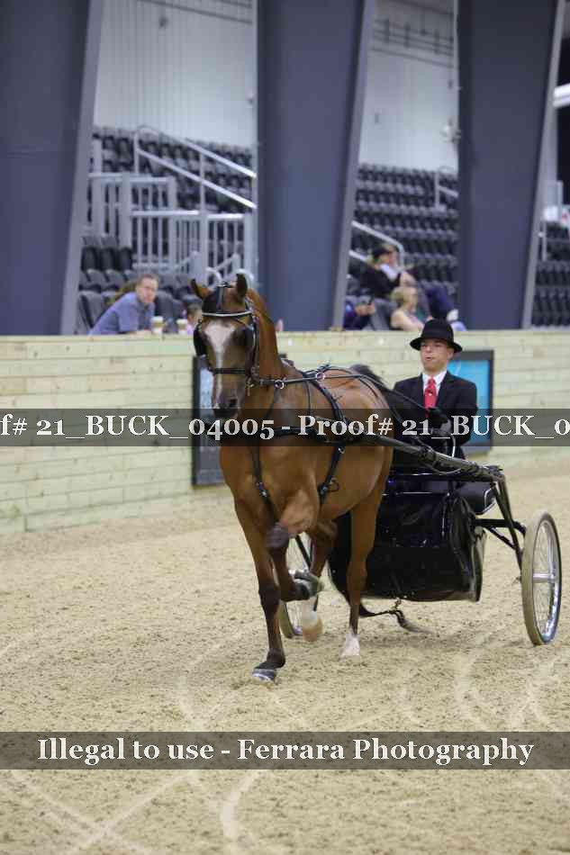 Proof 21_BUCK_04005