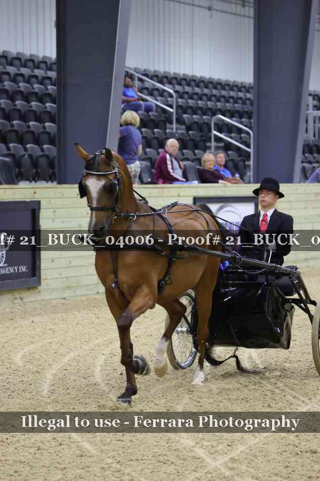 Proof 21_BUCK_04006