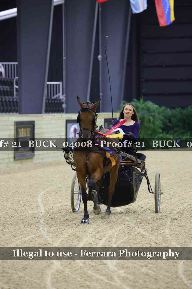 Proof 21_BUCK_04008