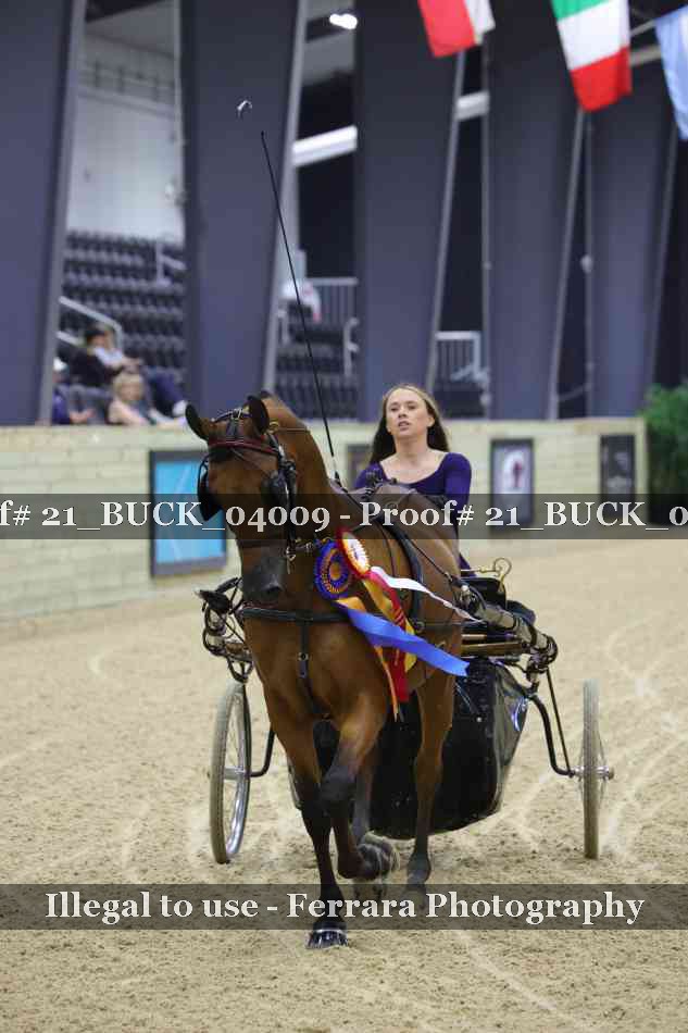 Proof 21_BUCK_04009