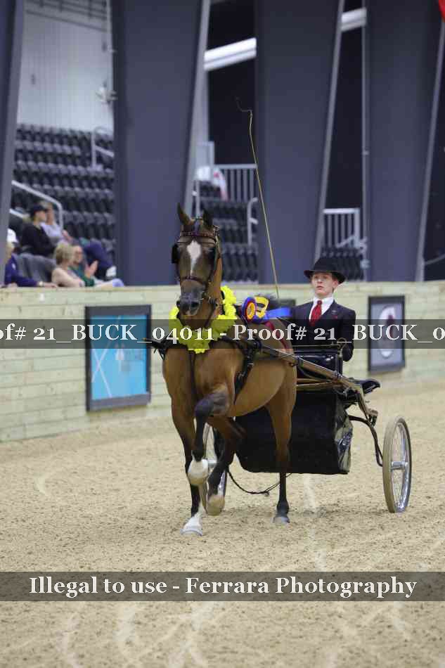 Proof 21_BUCK_04011