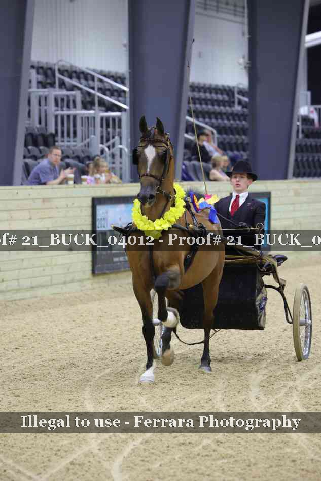 Proof 21_BUCK_04012