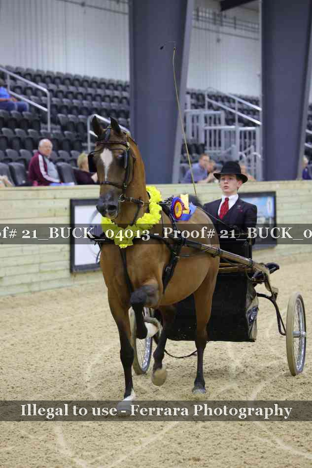 Proof 21_BUCK_04013