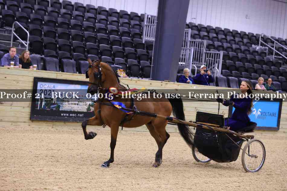Proof 21_BUCK_04015
