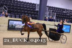 21_BUCK_04015 proof