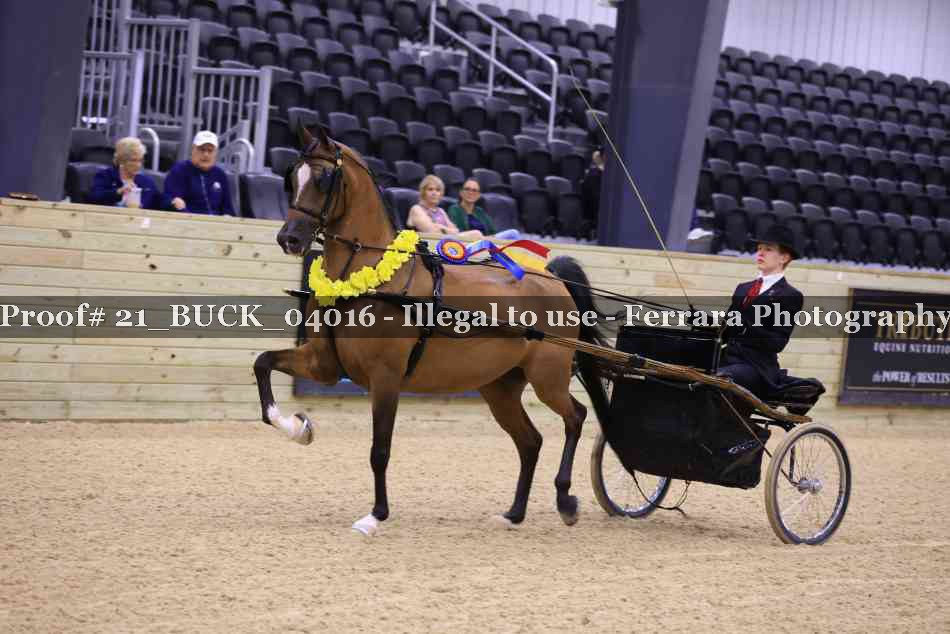 Proof 21_BUCK_04016