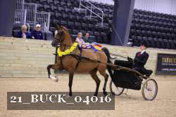 21_BUCK_04016 proof