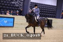 21_BUCK_04018 proof