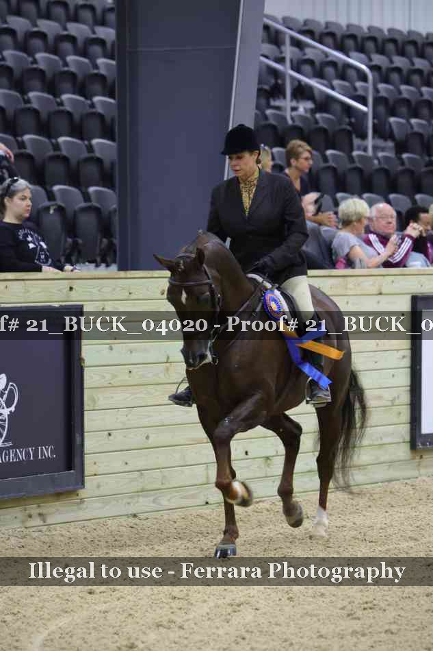 Proof 21_BUCK_04020