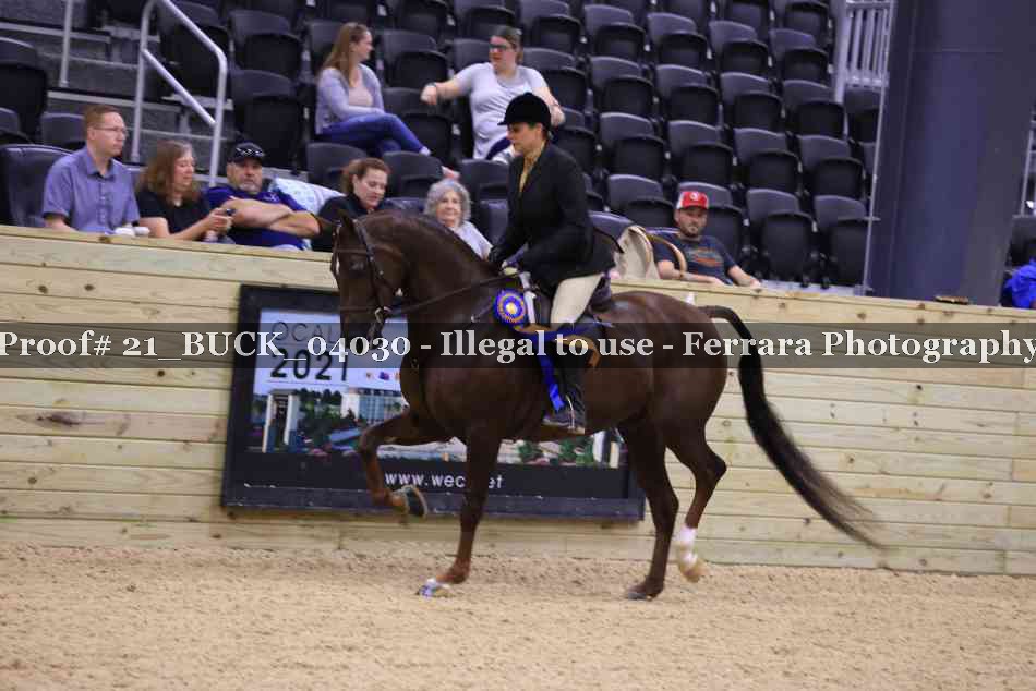 Proof 21_BUCK_04030
